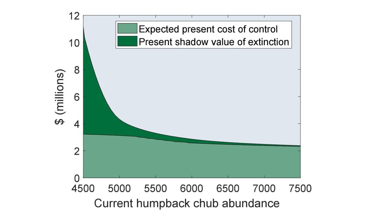 Expected Present Costs of Electrofishing Trips and the Perceived Future Loss from Extinction Current humpback chub abundance