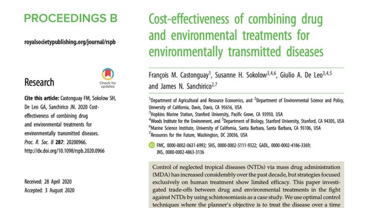 Cost-effectiveness of combining drug and environmental treatments for environmentally transmitted diseases