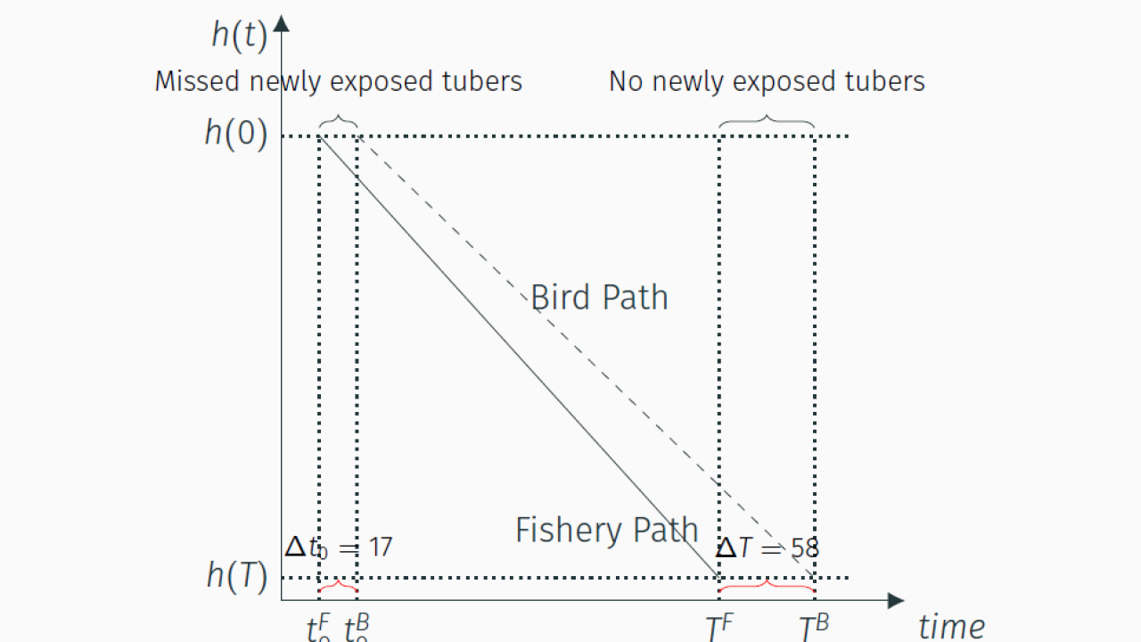 Xiurou is showing different water level paths due to the timing conflict between fishery operation and crane conservation.