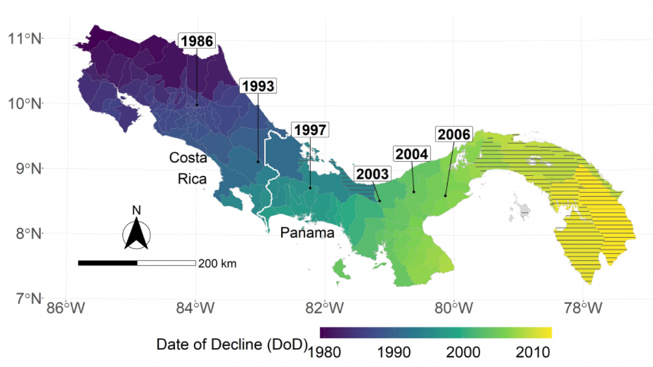 Date of Bd-driven amphibian decline (DoD) in Costa Rica and Panama.